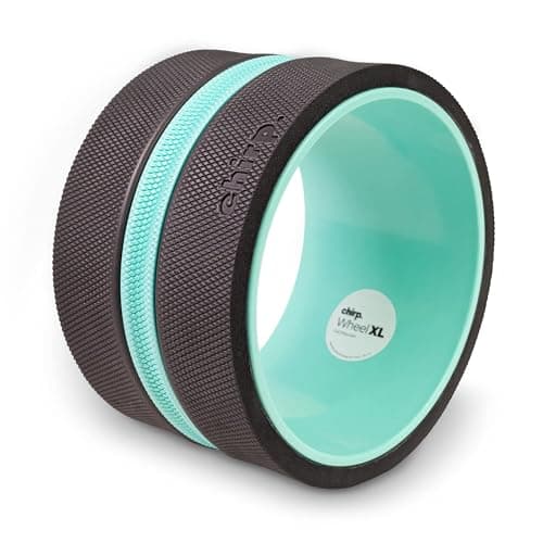 Chirp Chirp Wheel XL