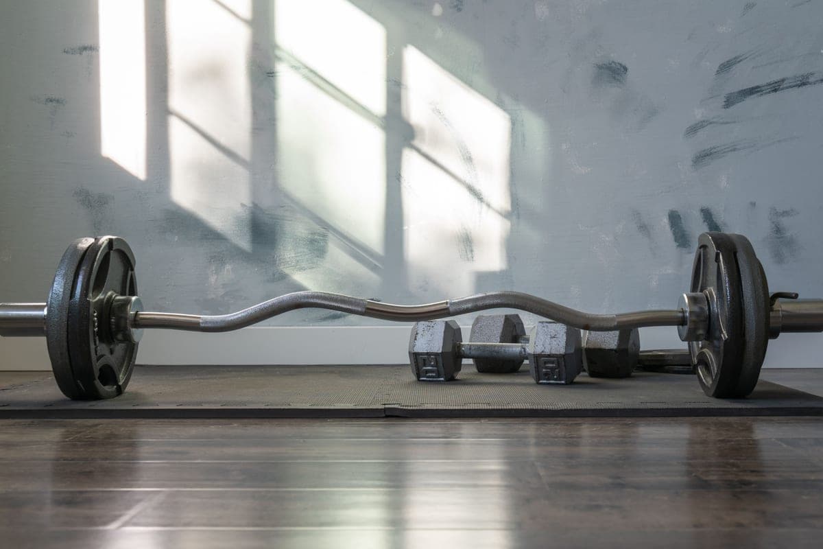 Types of home-gym equipment: the whole landscape, explained